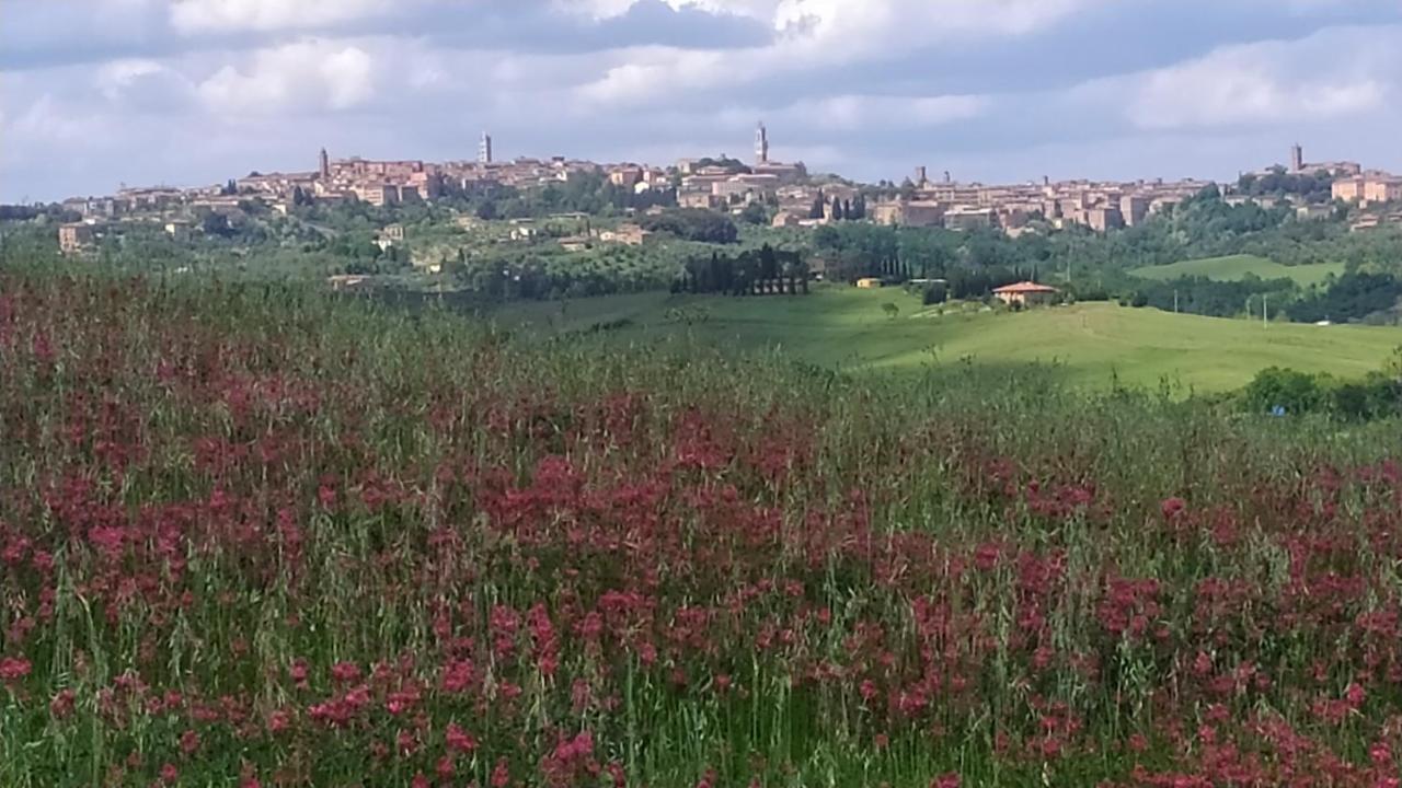 Dago Farmhouse Siena Zewnętrze zdjęcie