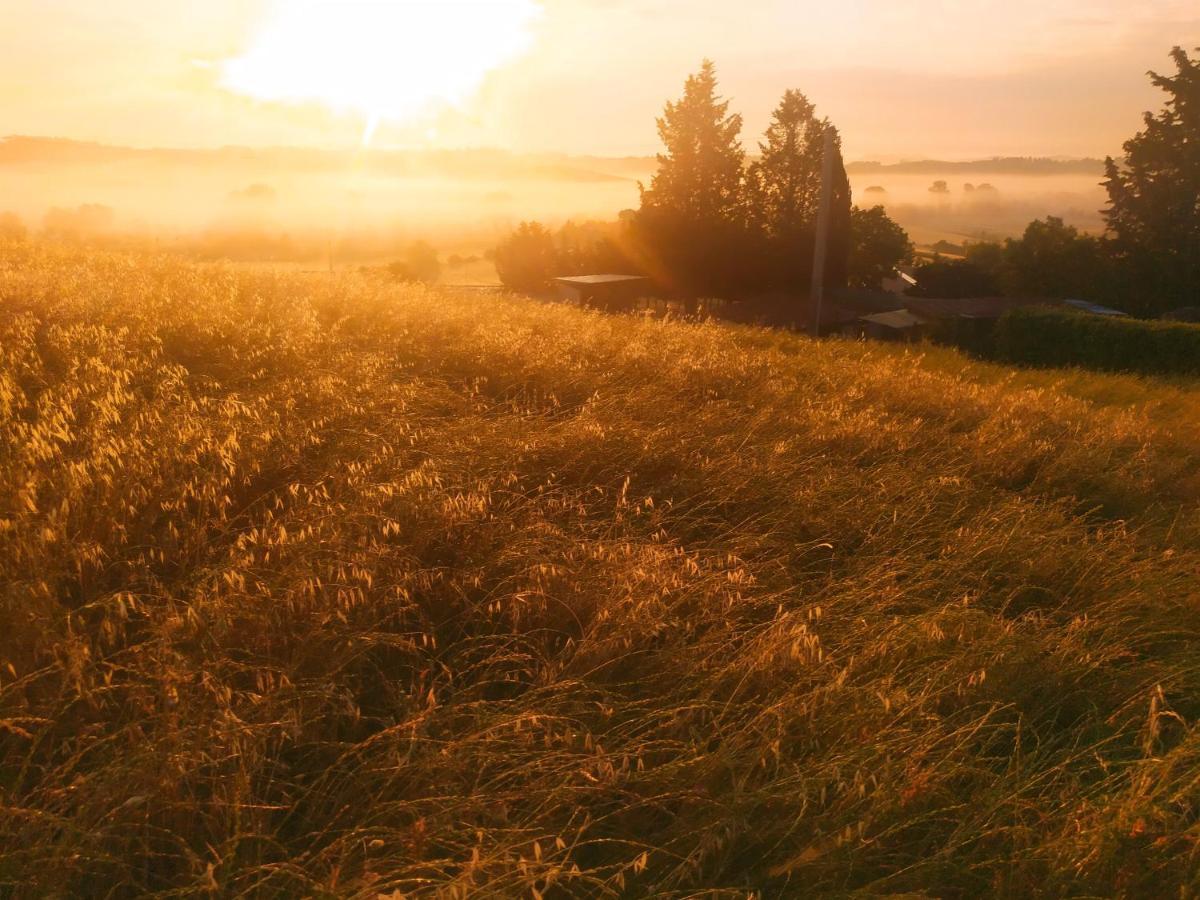Dago Farmhouse Siena Zewnętrze zdjęcie