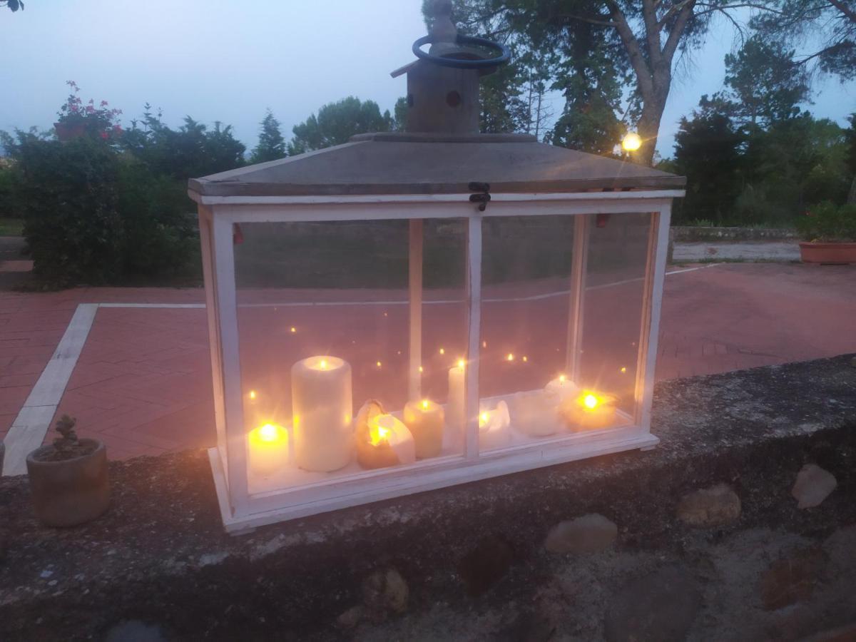 Dago Farmhouse Siena Zewnętrze zdjęcie