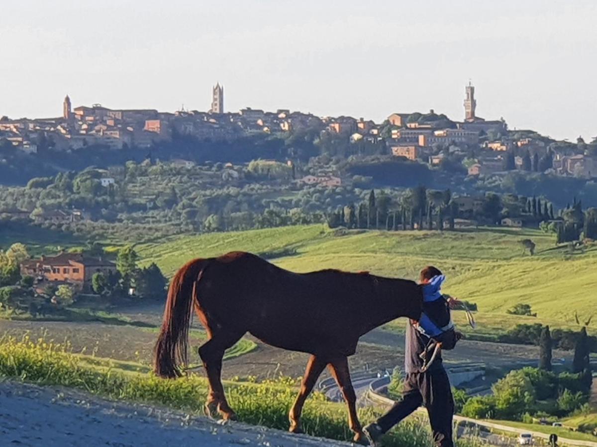 Dago Farmhouse Siena Zewnętrze zdjęcie